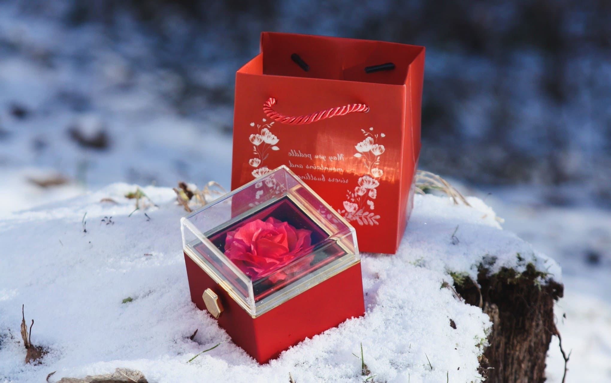 The Eternal Rosebox in snow